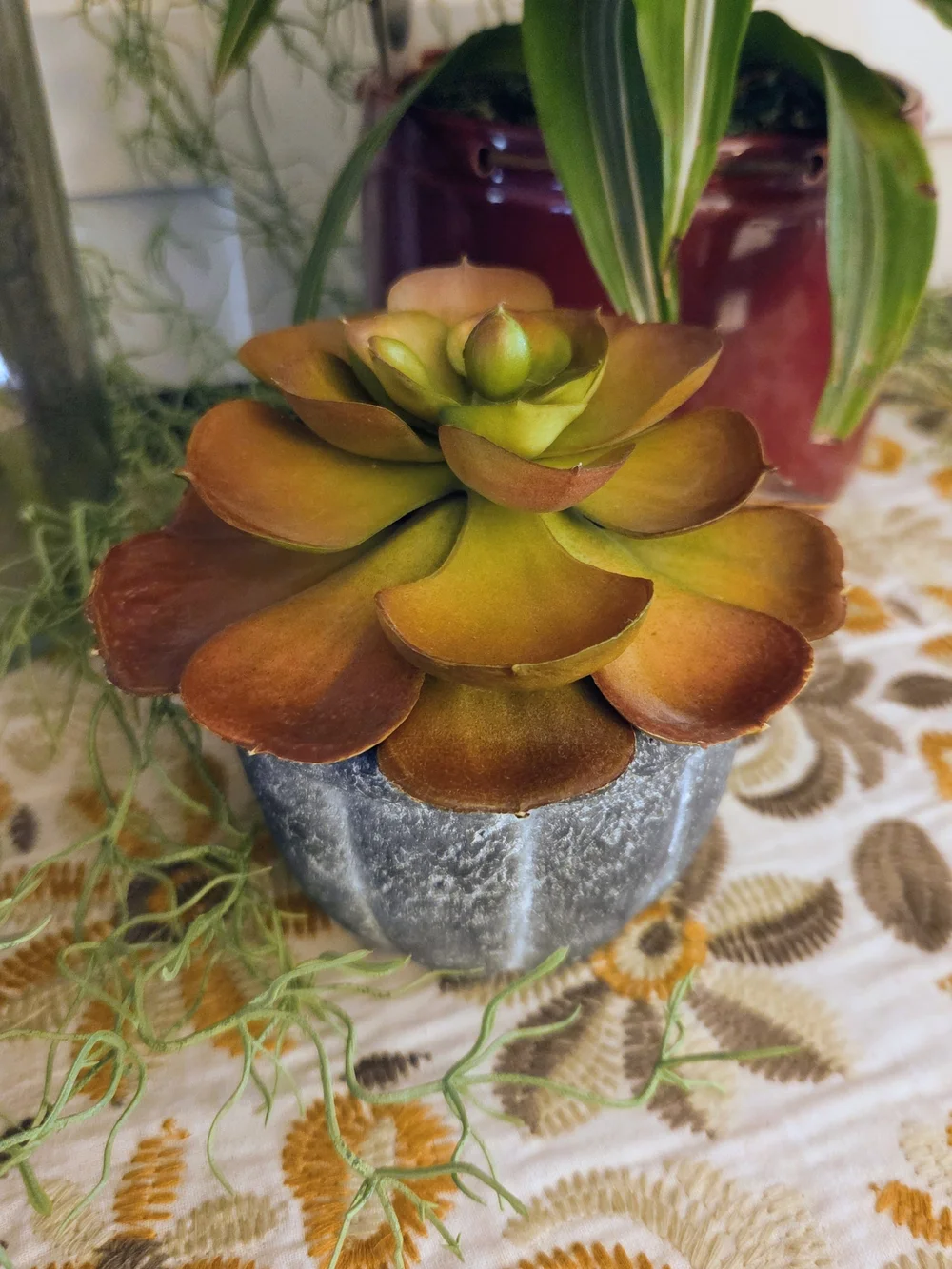 Crate&Barrel Faux Succulent in Distressed Gray Pot - Fall Plant Decor